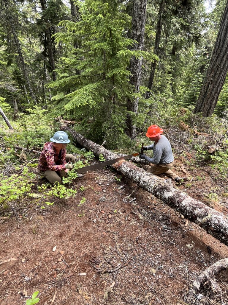 Trail Work: PCT Logout #2
