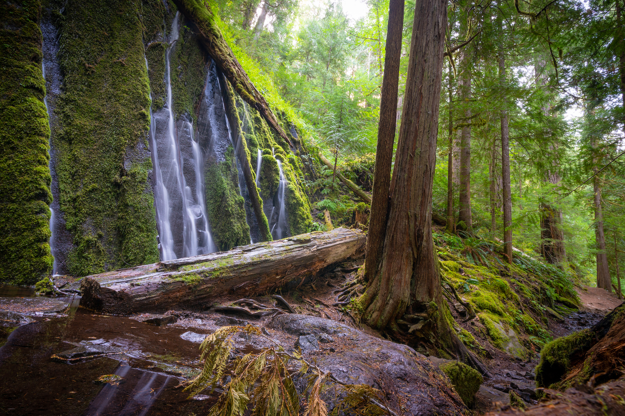 The Oregon 200 mile race travels along the North Umpqua River trail, with several waterfalls.