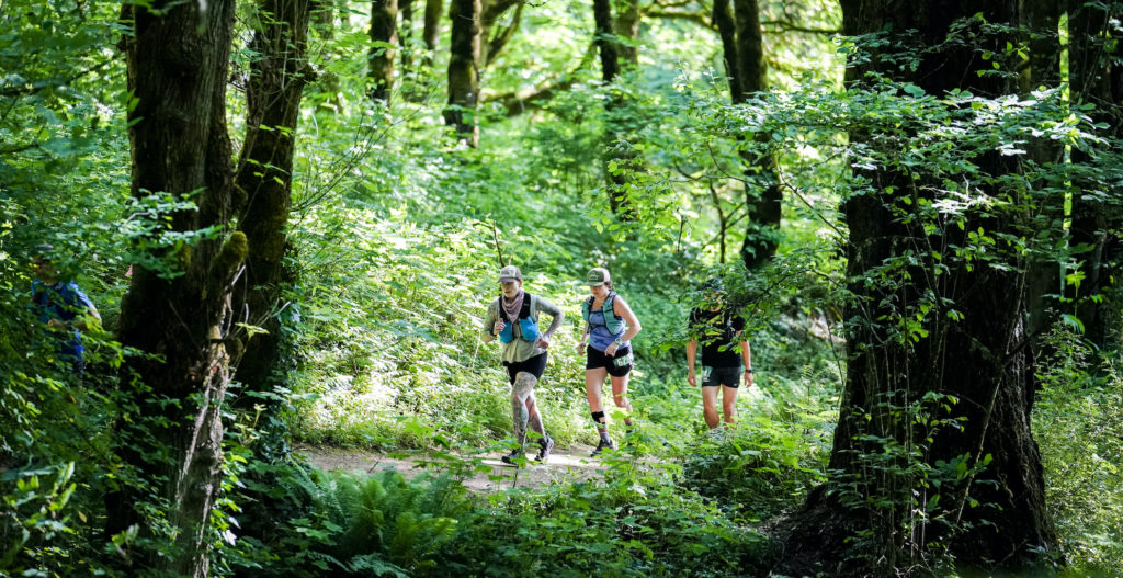 Runners in Forest Park during Stumptown Trail Runs